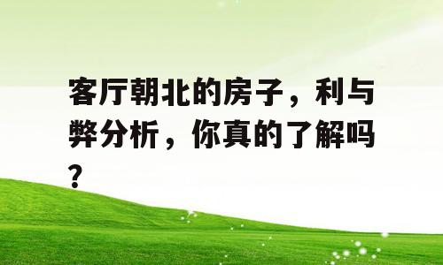 客厅朝北的房子，利与弊分析，你真的了解吗？