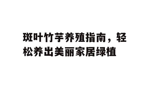 斑叶竹芋养殖指南，轻松养出美丽家居绿植