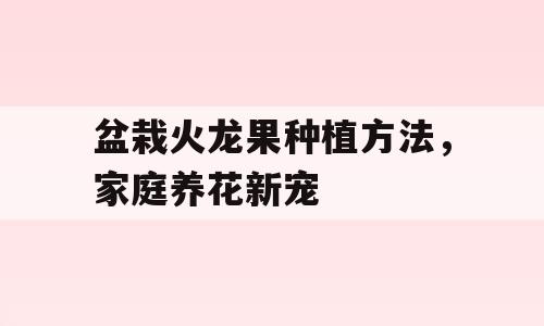 盆栽火龙果种植方法，家庭养花新宠