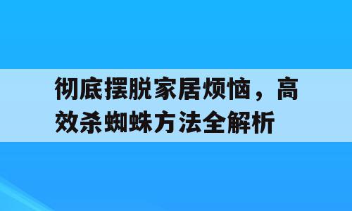 彻底摆脱家居烦恼，高效杀蜘蛛方法全解析