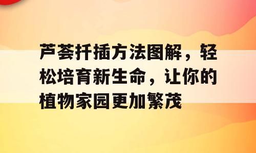 芦荟扦插方法图解，轻松培育新生命，让你的植物家园更加繁茂