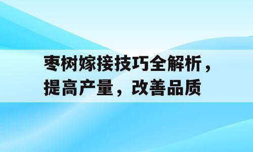枣树嫁接技巧全解析，提高产量，改善品质