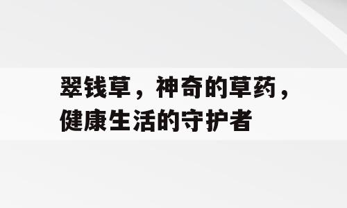 翠钱草，神奇的草药，健康生活的守护者
