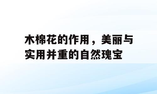 木棉花的作用，美丽与实用并重的自然瑰宝