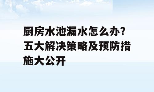 厨房水池漏水怎么办？五大解决策略及预防措施大公开