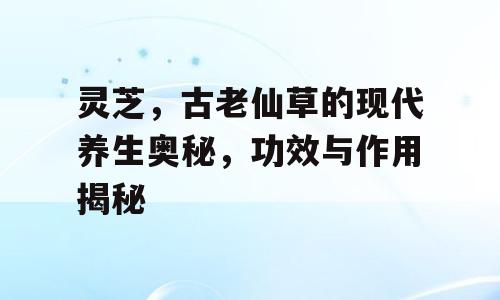 灵芝，古老仙草的现代养生奥秘，功效与作用揭秘