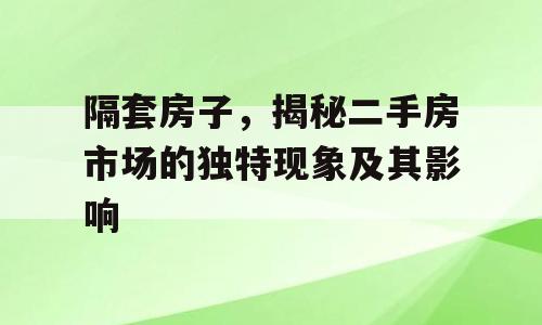 隔套房子，揭秘二手房市场的独特现象及其影响