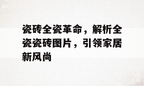 瓷砖全瓷革命，解析全瓷瓷砖图片，引领家居新风尚