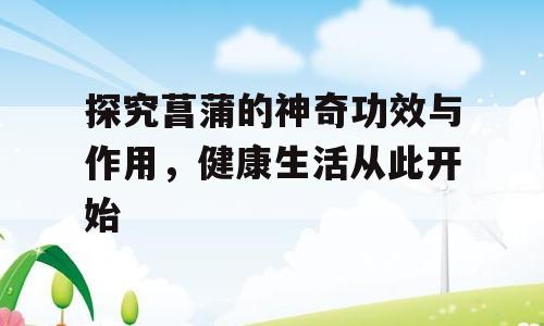 探究菖蒲的神奇功效与作用，健康生活从此开始