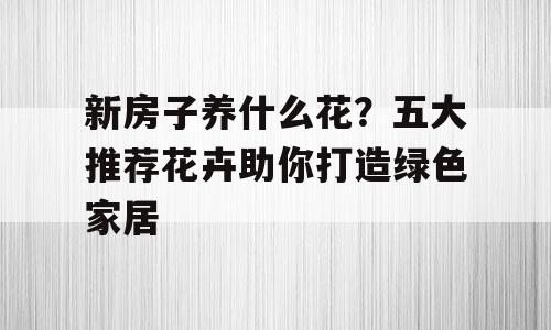 新房子养什么花？五大推荐花卉助你打造绿色家居