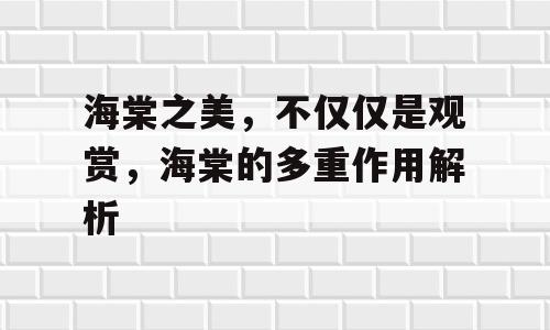 海棠之美，不仅仅是观赏，海棠的多重作用解析