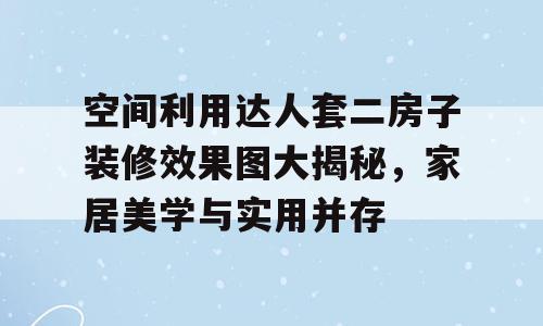 空间利用达人套二房子装修效果图大揭秘，家居美学与实用并存