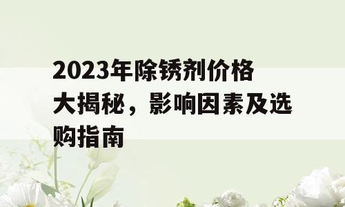 2023年除锈剂价格大揭秘，影响因素及选购指南