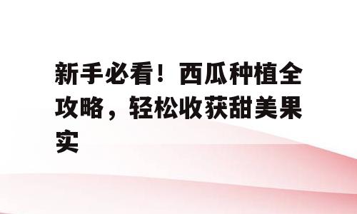 新手必看！西瓜种植全攻略，轻松收获甜美果实