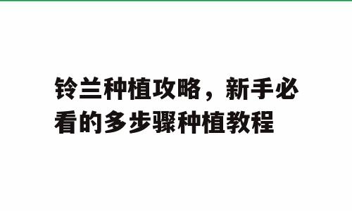 铃兰种植攻略，新手必看的多步骤种植教程