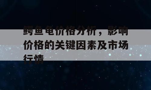 鳄鱼龟价格分析，影响价格的关键因素及市场行情