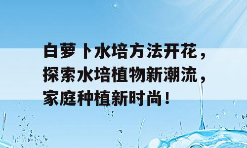 白萝卜水培方法开花，探索水培植物新潮流，家庭种植新时尚！