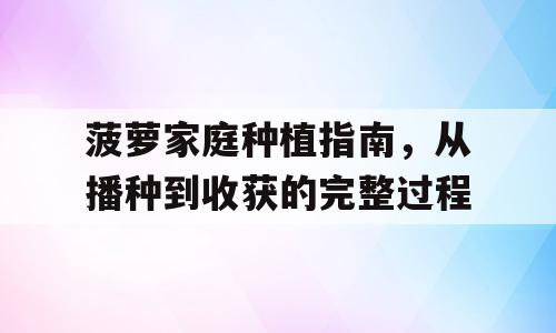 菠萝家庭种植指南，从播种到收获的完整过程
