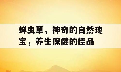 蝉虫草，神奇的自然瑰宝，养生保健的佳品
