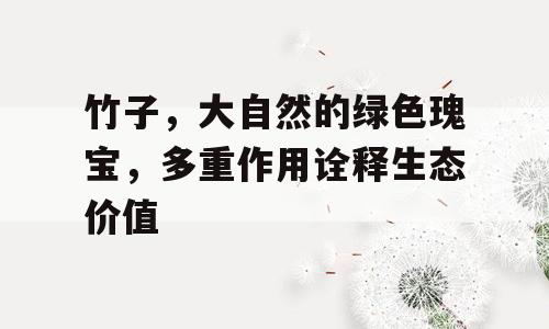 竹子，大自然的绿色瑰宝，多重作用诠释生态价值
