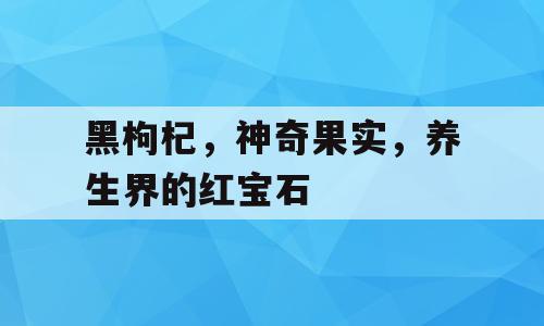 黑枸杞，神奇果实，养生界的红宝石