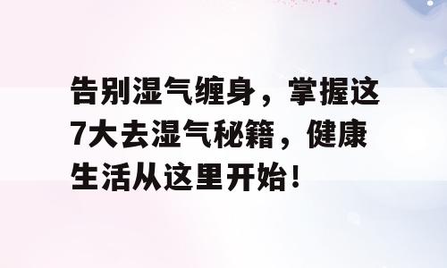 告别湿气缠身，掌握这7大去湿气秘籍，健康生活从这里开始！