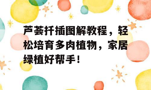 芦荟扦插图解教程，轻松培育多肉植物，家居绿植好帮手！