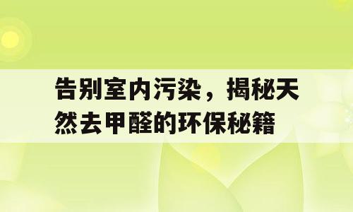 告别室内污染，揭秘天然去甲醛的环保秘籍