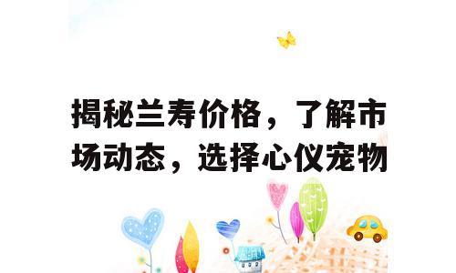 揭秘兰寿价格，了解市场动态，选择心仪宠物
