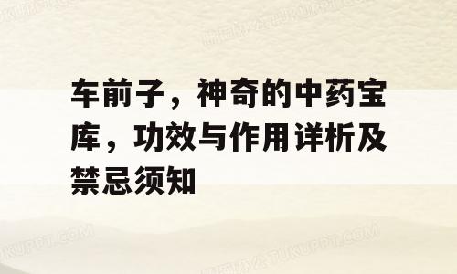 车前子，神奇的中药宝库，功效与作用详析及禁忌须知
