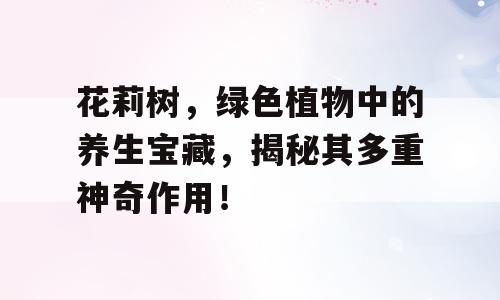 花莉树，绿色植物中的养生宝藏，揭秘其多重神奇作用！