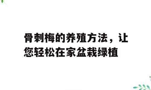 骨刺梅的养殖方法，让您轻松在家盆栽绿植