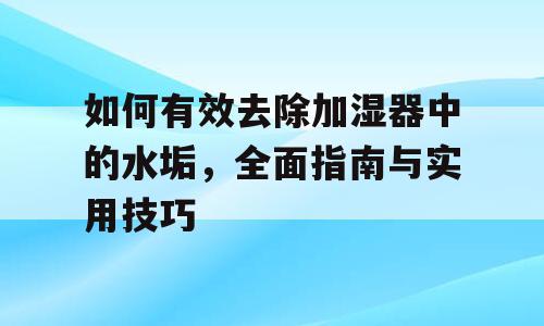 如何有效去除加湿器中的水垢，全面指南与实用技巧