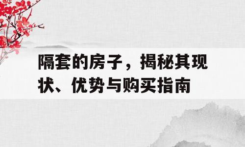 隔套的房子，揭秘其现状、优势与购买指南