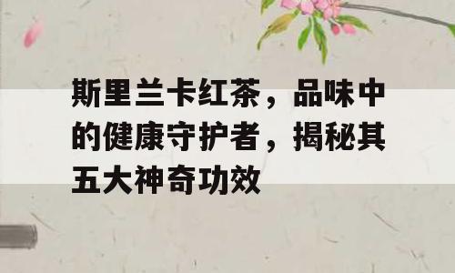 斯里兰卡红茶，品味中的健康守护者，揭秘其五大神奇功效