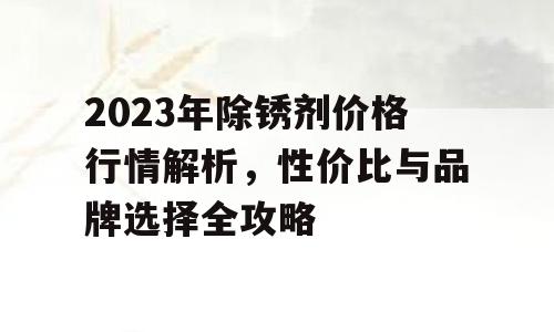 2023年除锈剂价格行情解析，性价比与品牌选择全攻略