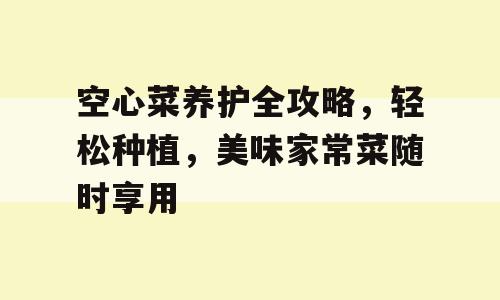 空心菜养护全攻略，轻松种植，美味家常菜随时享用