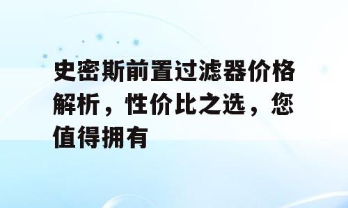 史密斯前置过滤器价格解析，性价比之选，您值得拥有