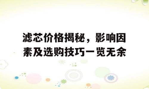 滤芯价格揭秘，影响因素及选购技巧一览无余
