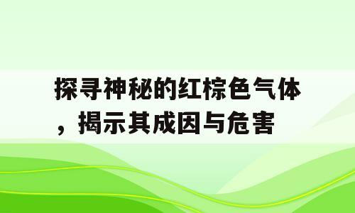 探寻神秘的红棕色气体，揭示其成因与危害