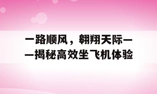 一路顺风，翱翔天际——揭秘高效坐飞机体验