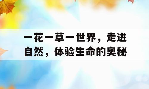 一花一草一世界，走进自然，体验生命的奥秘