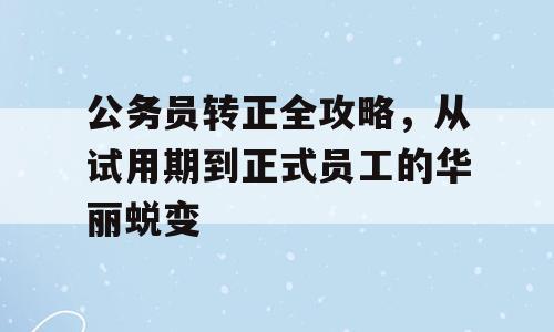 公务员转正全攻略，从试用期到正式员工的华丽蜕变