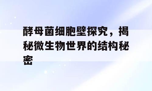 酵母菌细胞壁探究，揭秘微生物世界的结构秘密