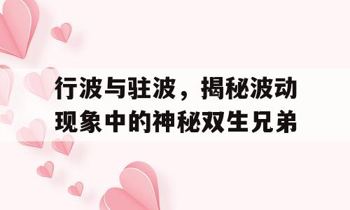行波与驻波，揭秘波动现象中的神秘双生兄弟