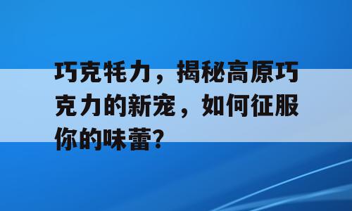 巧克牦力，揭秘高原巧克力的新宠，如何征服你的味蕾？