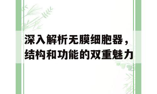 深入解析无膜细胞器，结构和功能的双重魅力