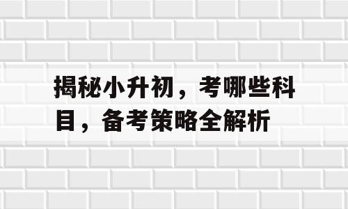 揭秘小升初，考哪些科目，备考策略全解析