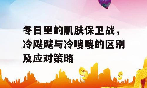 冬日里的肌肤保卫战，冷飕飕与冷嗖嗖的区别及应对策略