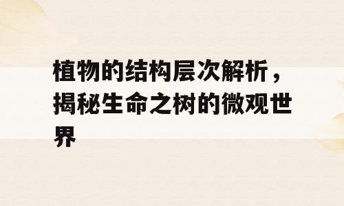 植物的结构层次解析，揭秘生命之树的微观世界